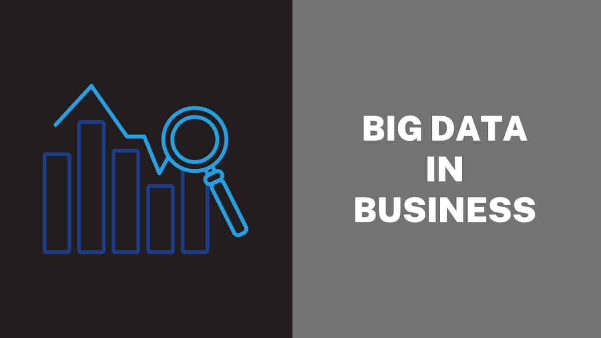 Big Data in Business
