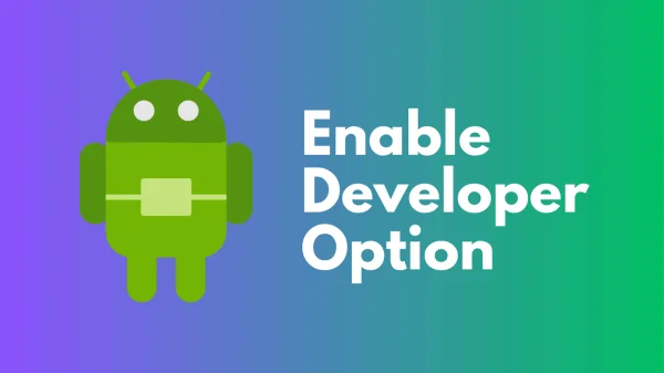 How to Enable Developer Options on Your Android Phone?