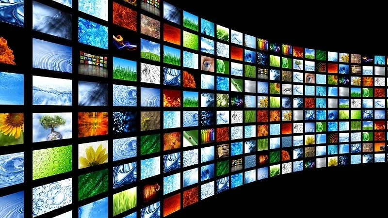How Much Needs to Pay for DTH and Cable After TRAI's new Rule For DTH and Cable TV