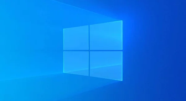 What is WSAPPX in Windows