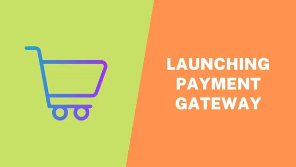Launching a Payment Gateway Provider on eCommerce Website