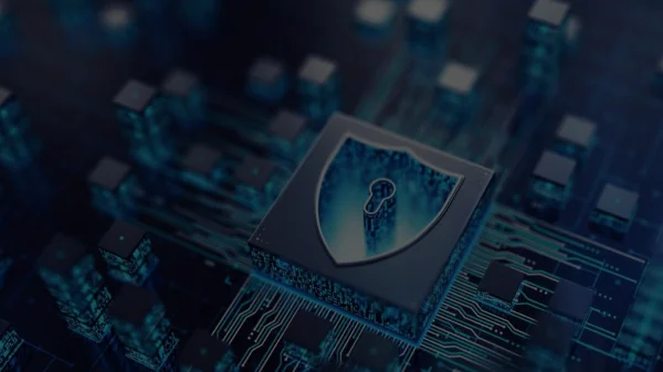 Tips on How to Keep your Information Safe Online