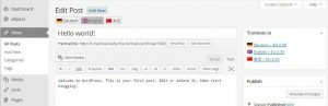 wordpress translate