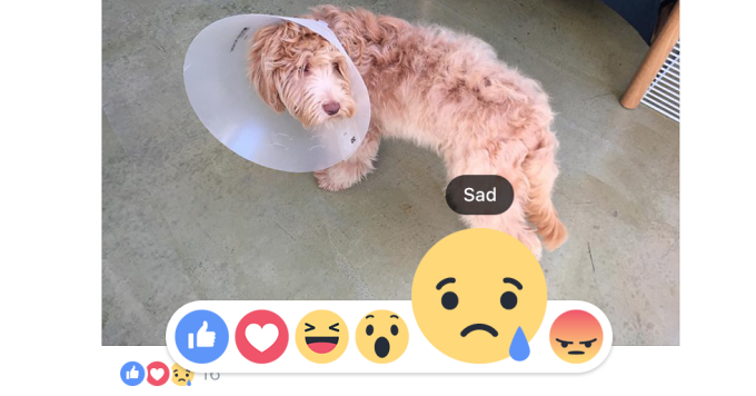 Facebook Enhances Everyone’s Like With Love, Haha, Wow, Sad, Angry Buttons 1 facebook reactions