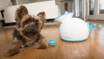 Best Smart Connected Devices for your Pet
