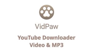 VidPaw Review – Best and Simple YouTube Video and MP3 Downloader