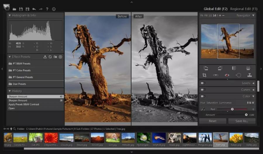 3 Best Online Photo Editing Tools