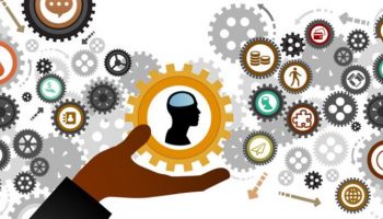 Important Principles of Human Resources