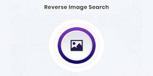 reverse-image-search