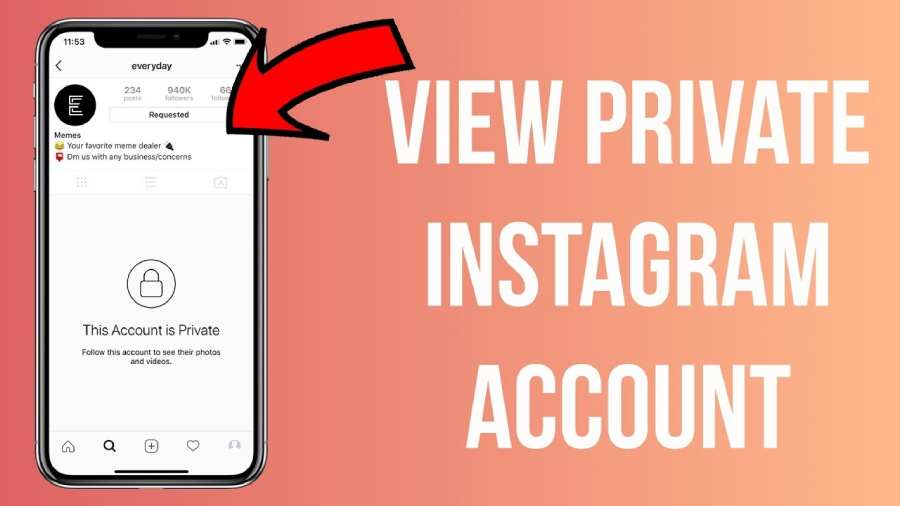 Private Instagram Viewer Online