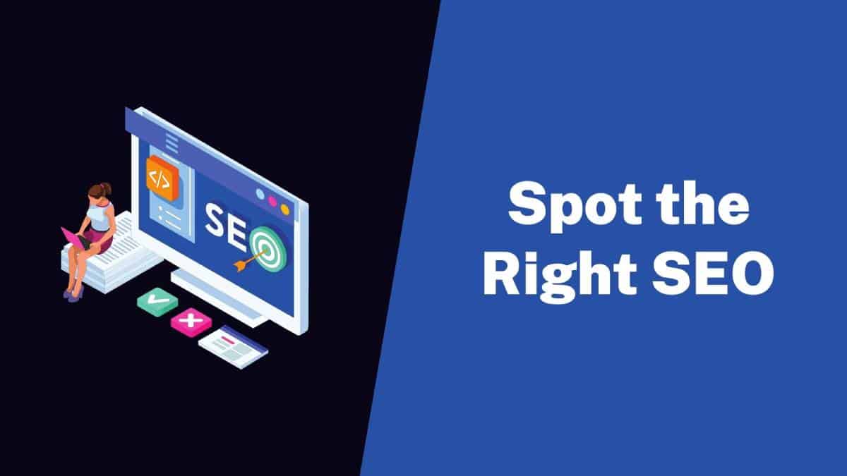 Spot-the-Right-SEO