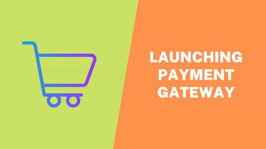 Launching a Payment Gateway