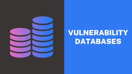 Vulnerability databases