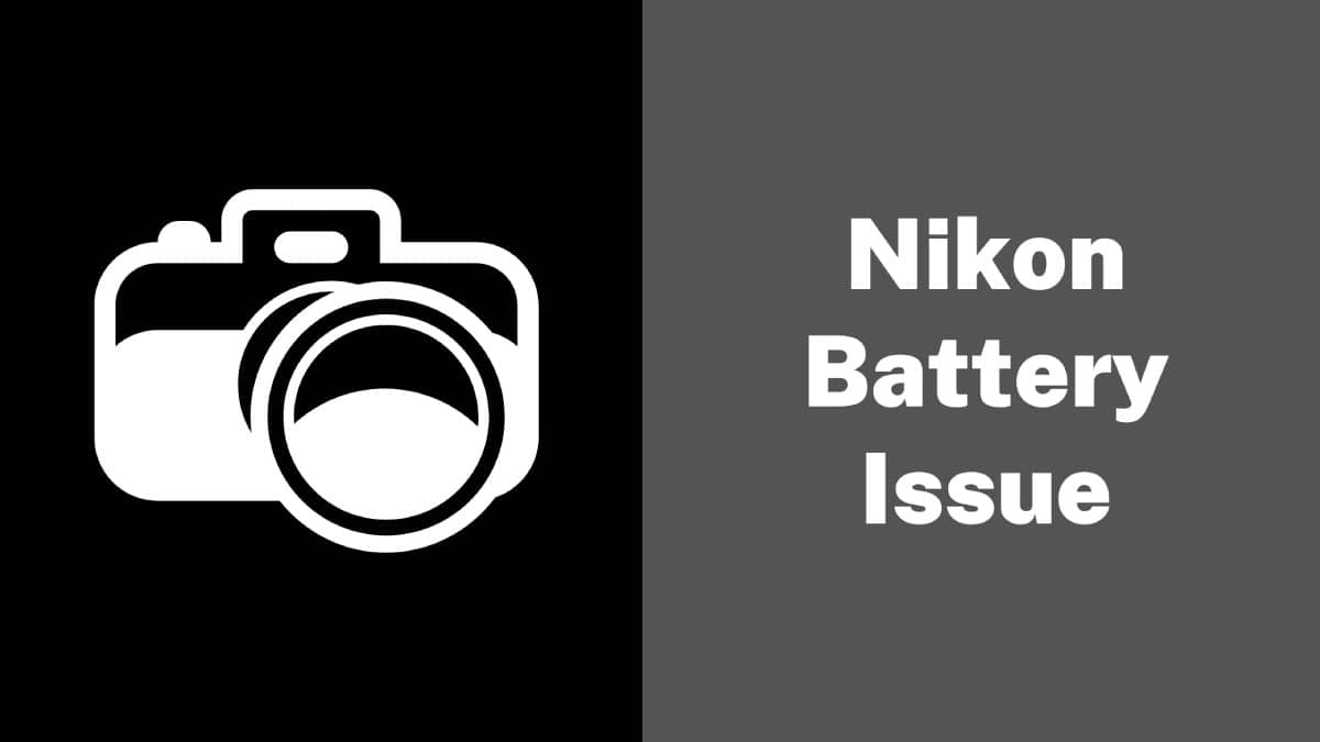 nikon battery charger blinking