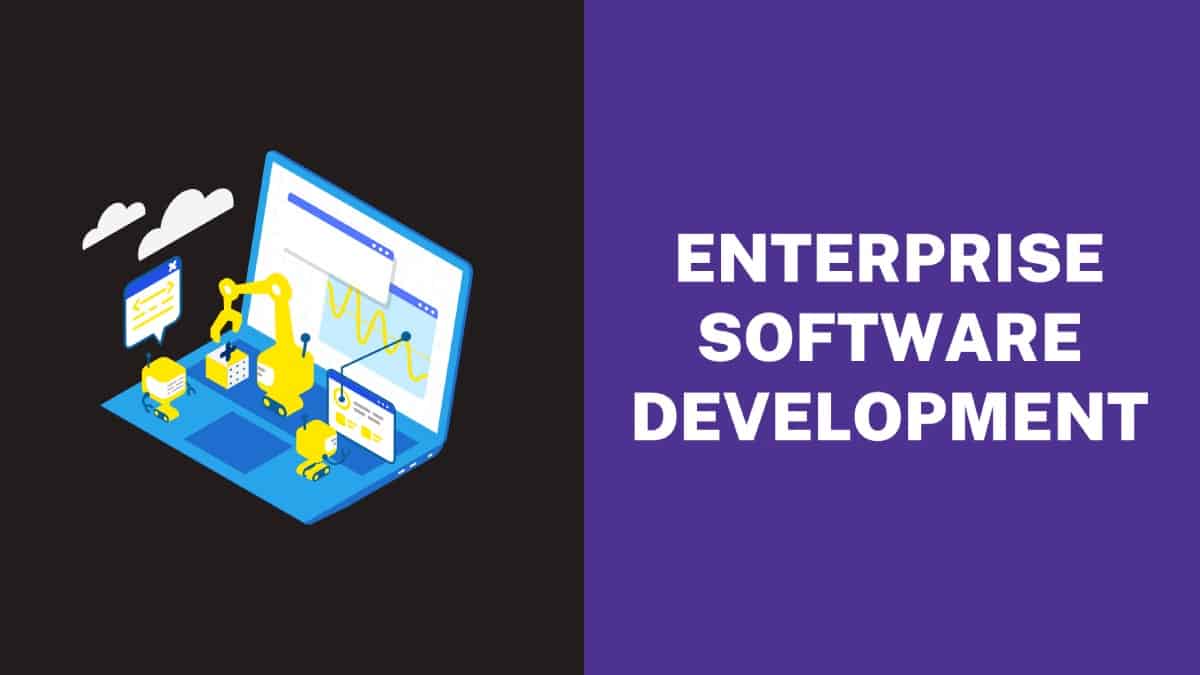 Advantages of Enterprise Software Development for Large Companies