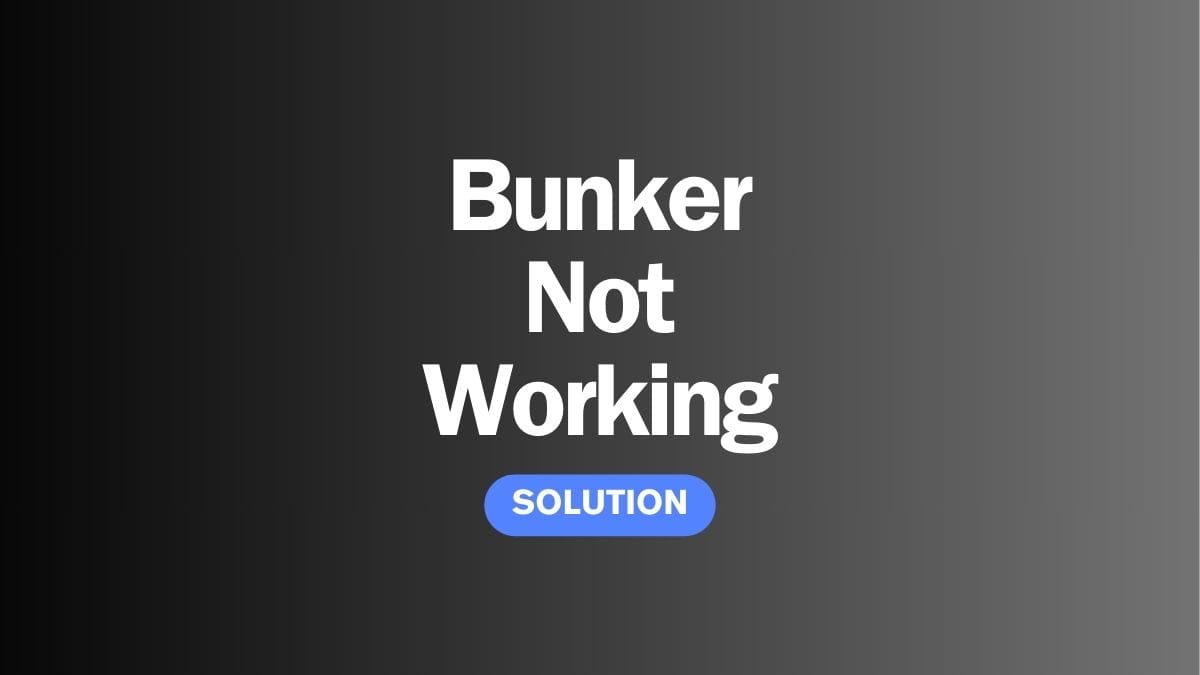 How to Fix the “Bunkr Not Working” Issue?