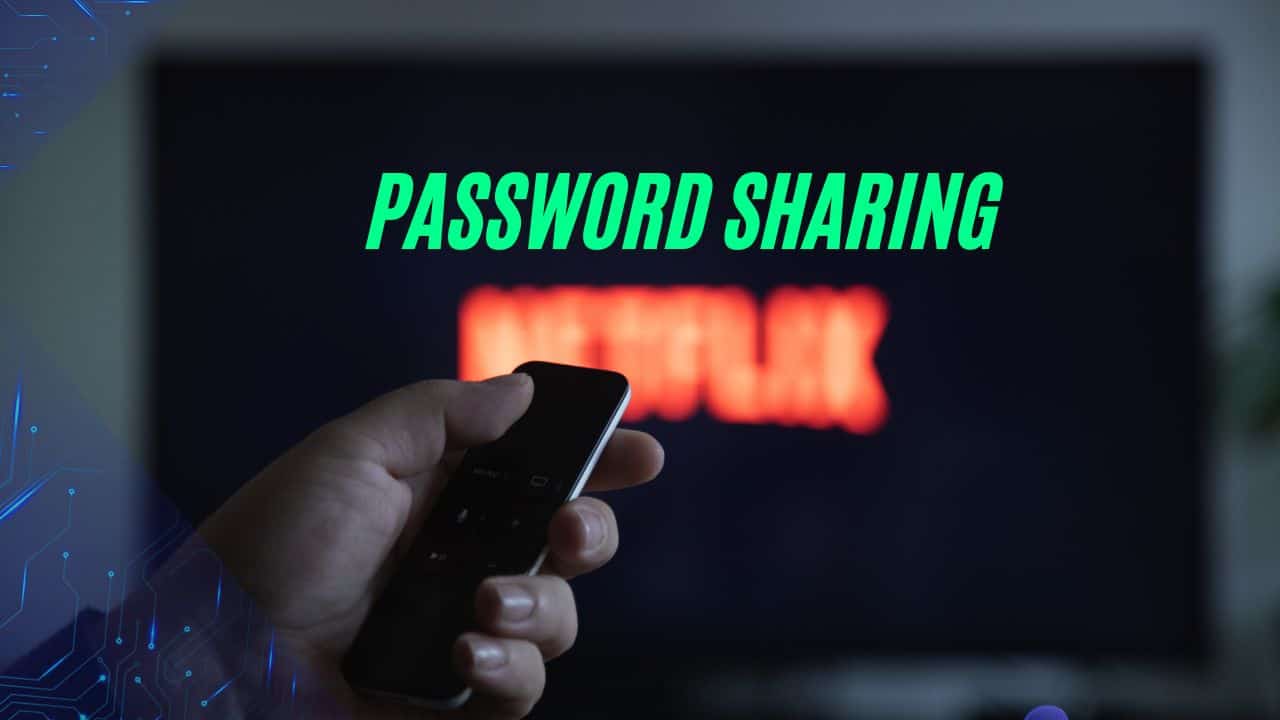 Netflix Password Sharing