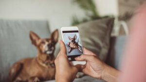 How to Prepare Your Home for a Puppy: Essential Tips for New Owners