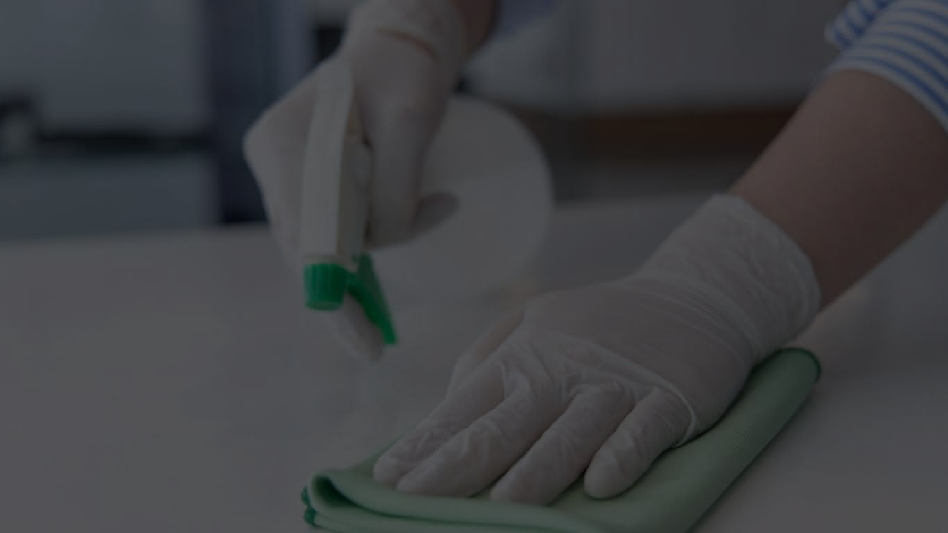 Leading Providers of Sanitary Cleaning Systems in 2025