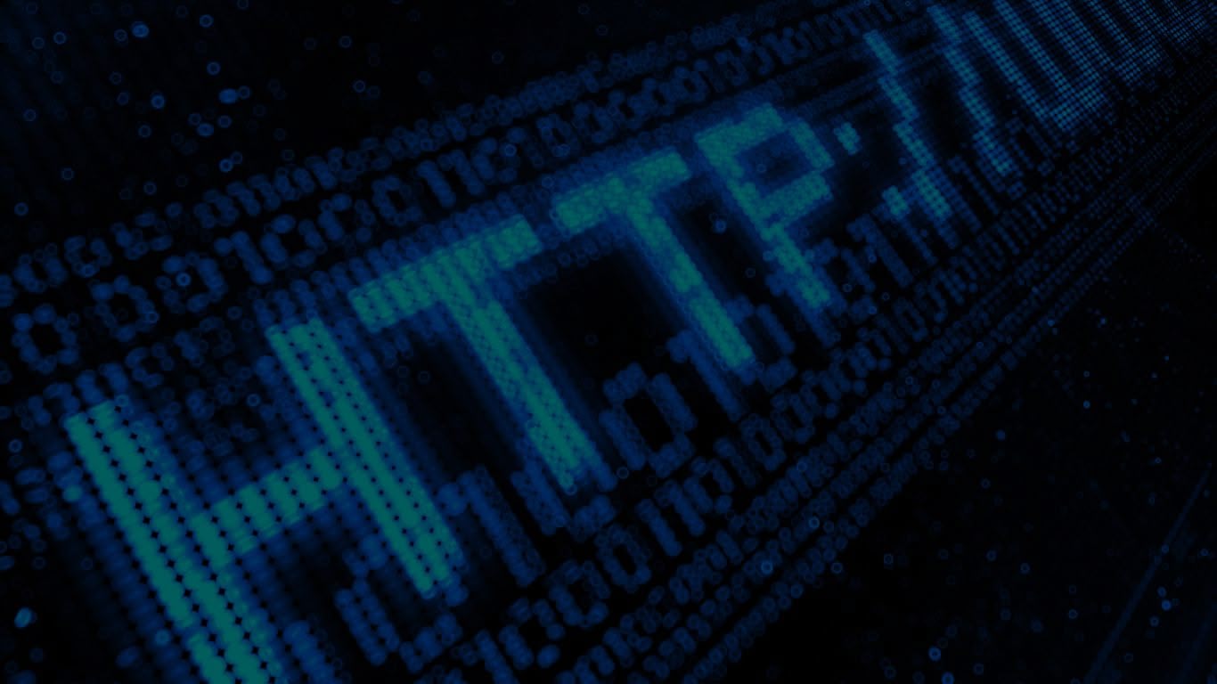 What 164.68111.161 Means: Uses, and Possible Significance