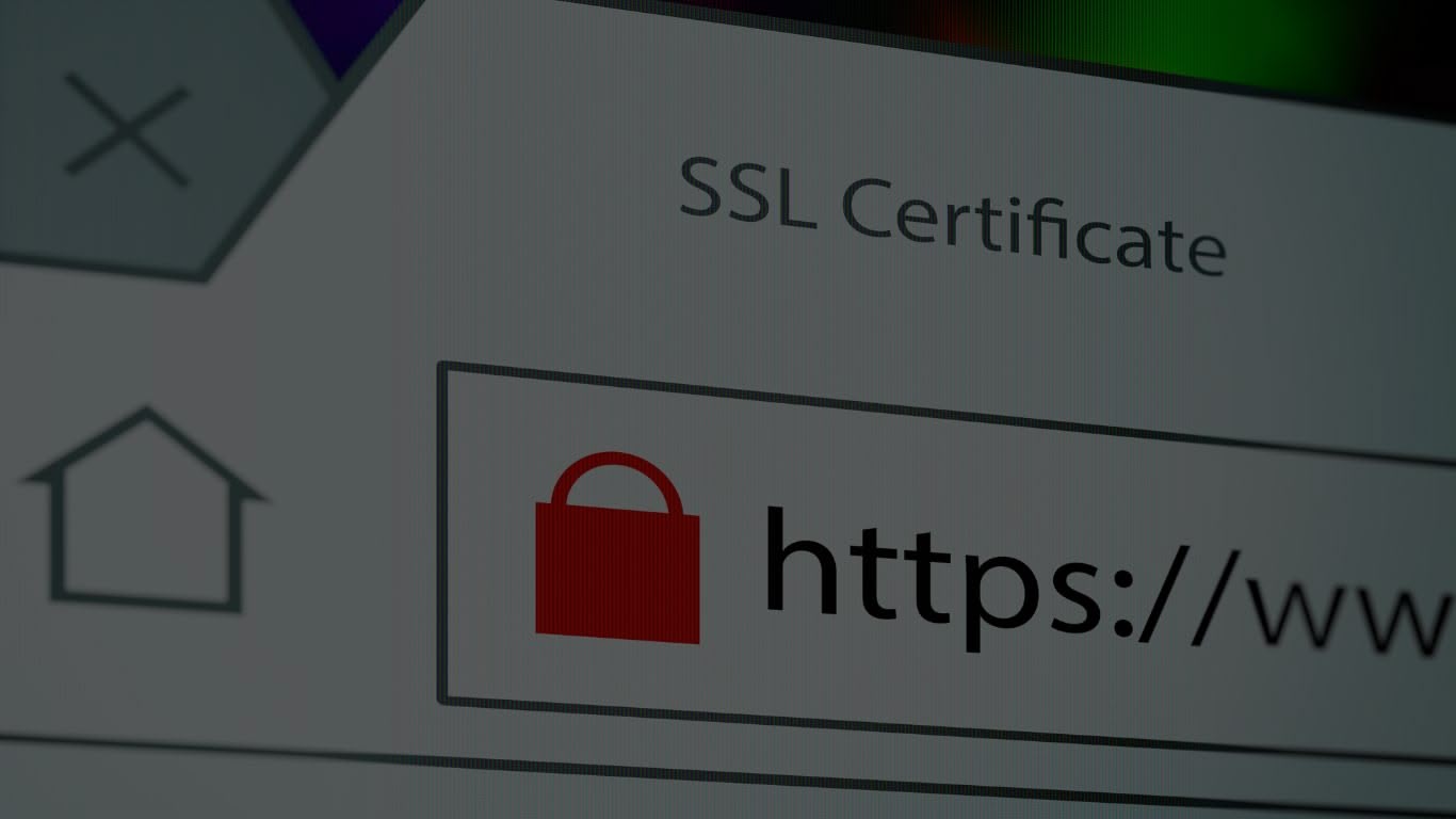 Wildcard SSL Certificate: Secure Unlimited Subdomains with One Powerful Solution