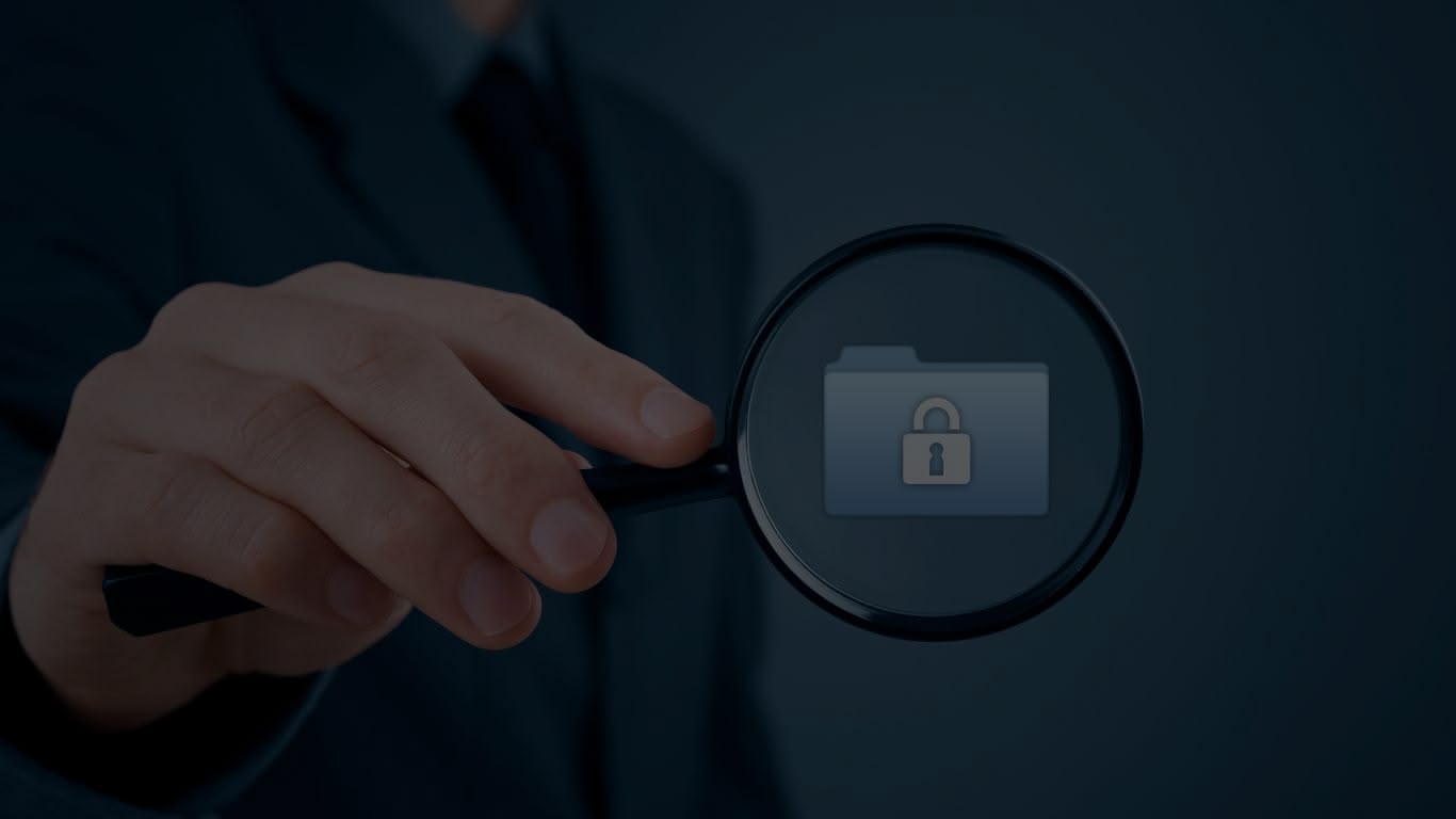 Sensitive Data Discovery Software: Finding the Needles in Your Digital Haystack