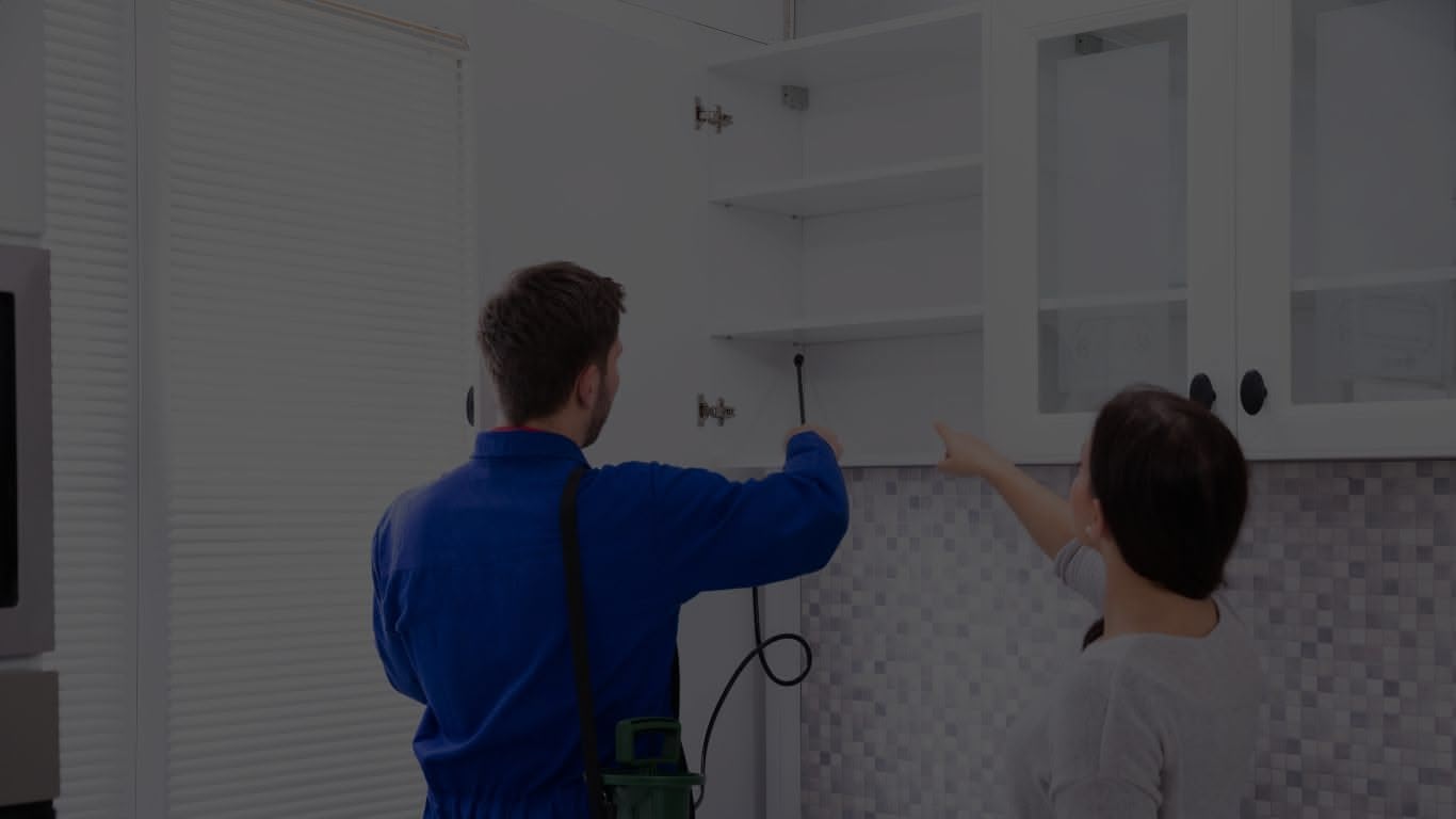 Smart Pest Control: A Tech-Driven, Preventive Approach for Long-Term Success