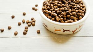 Why High Fiber Cat Food is Essential for Your Cat’s Health